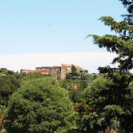 Magnifique Appartement Proche Centre Collioure Kültér fotó