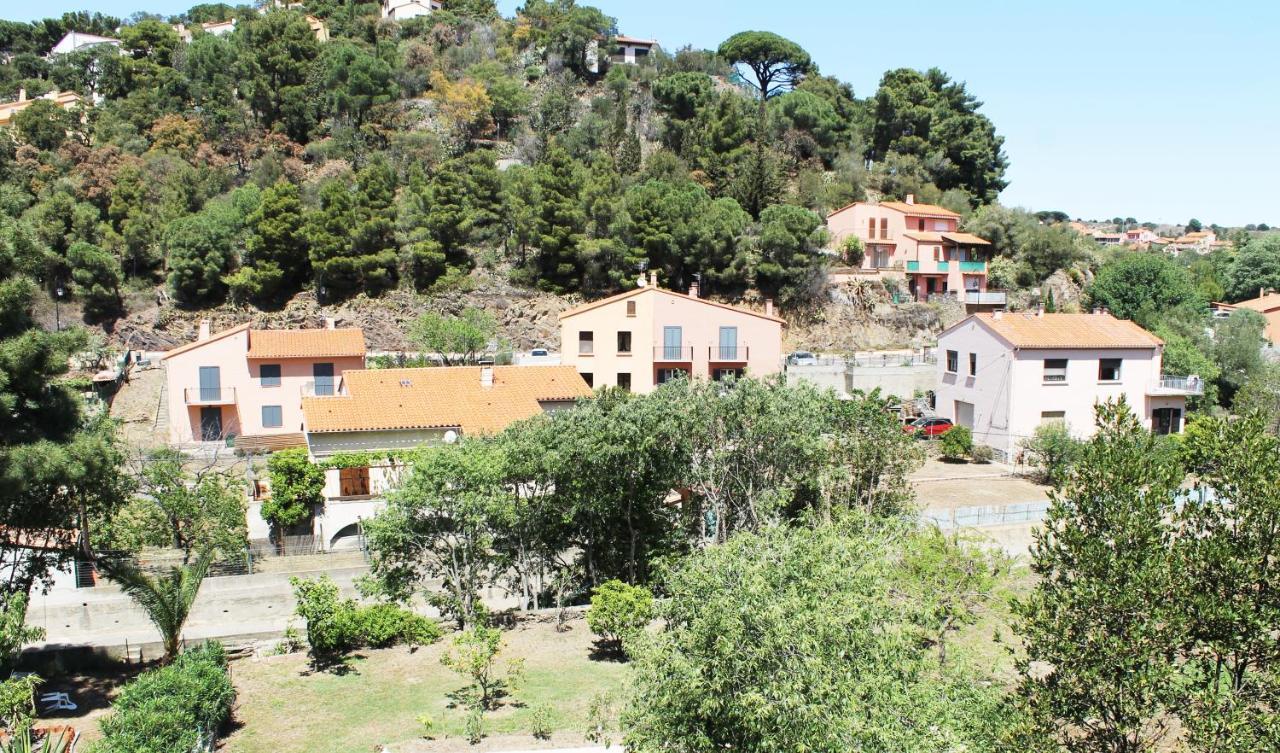 Magnifique Appartement Proche Centre Collioure Kültér fotó